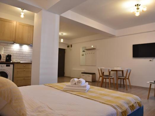 Radu Studio Mamaia Nord Apartman Năvodari Kültér fotó